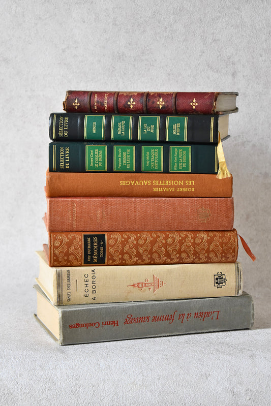 Set of 8 Vintage French Books, Mixed Editions (1863–2001)
