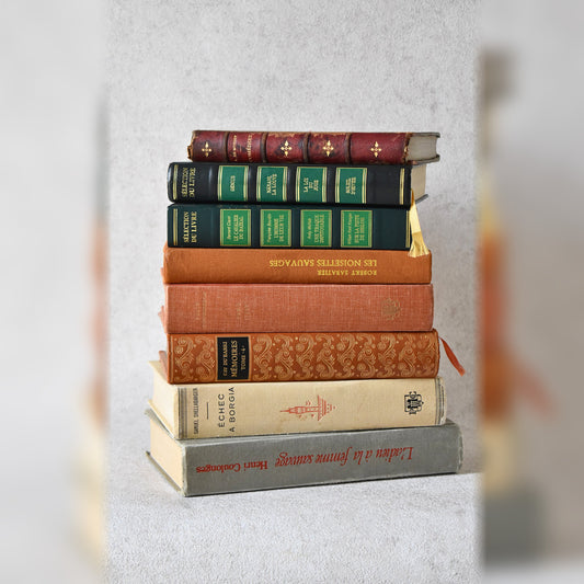 Set of 8 Vintage French Books, Mixed Editions (1863–2001)