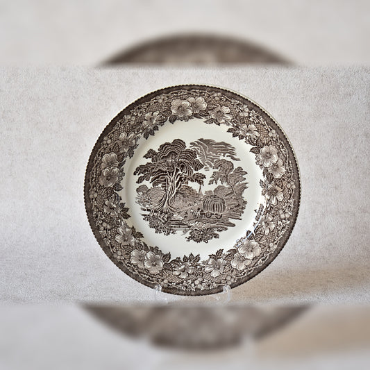 Barratts English Transferware Plate